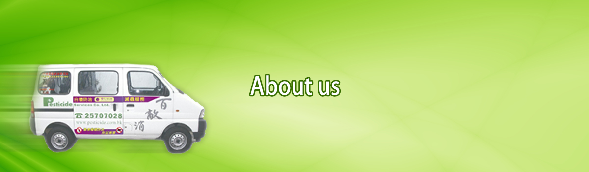 About_us