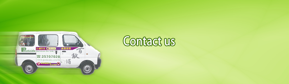 Contact_us